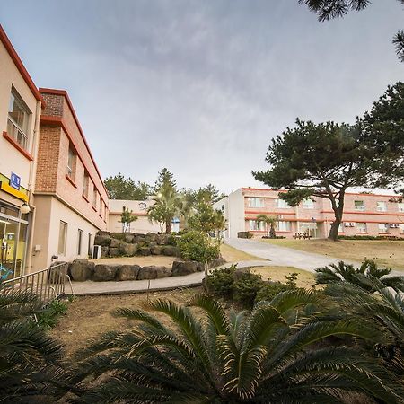 Jeju Youth Hostel エクステリア 写真