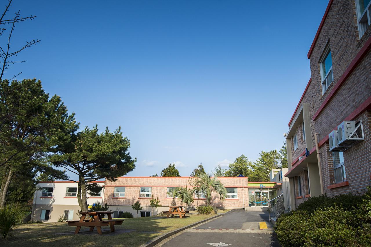 Jeju Youth Hostel エクステリア 写真