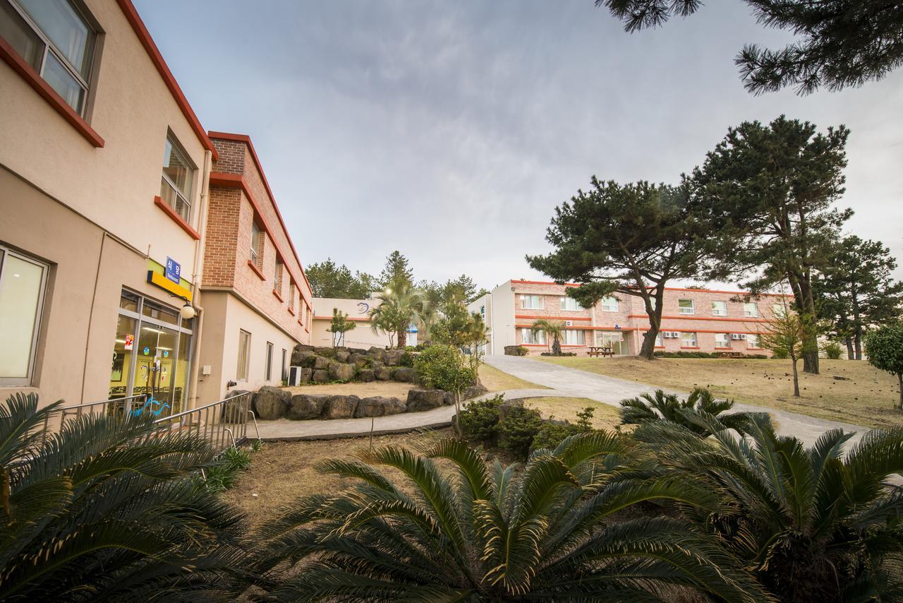 Jeju Youth Hostel エクステリア 写真