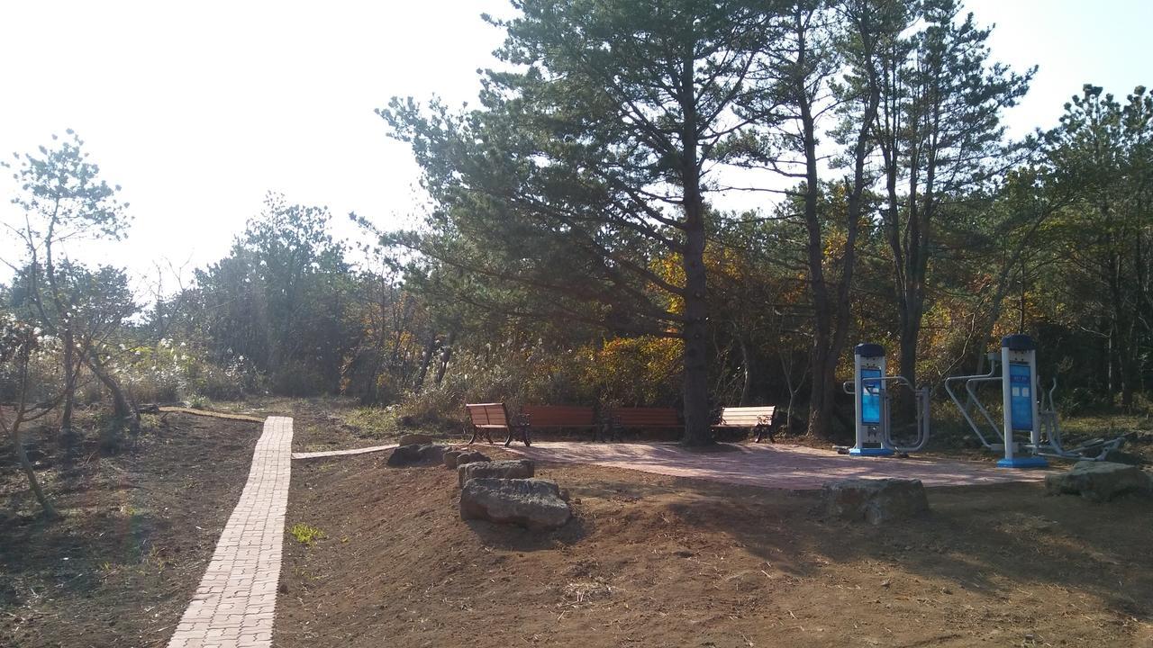 Jeju Youth Hostel エクステリア 写真