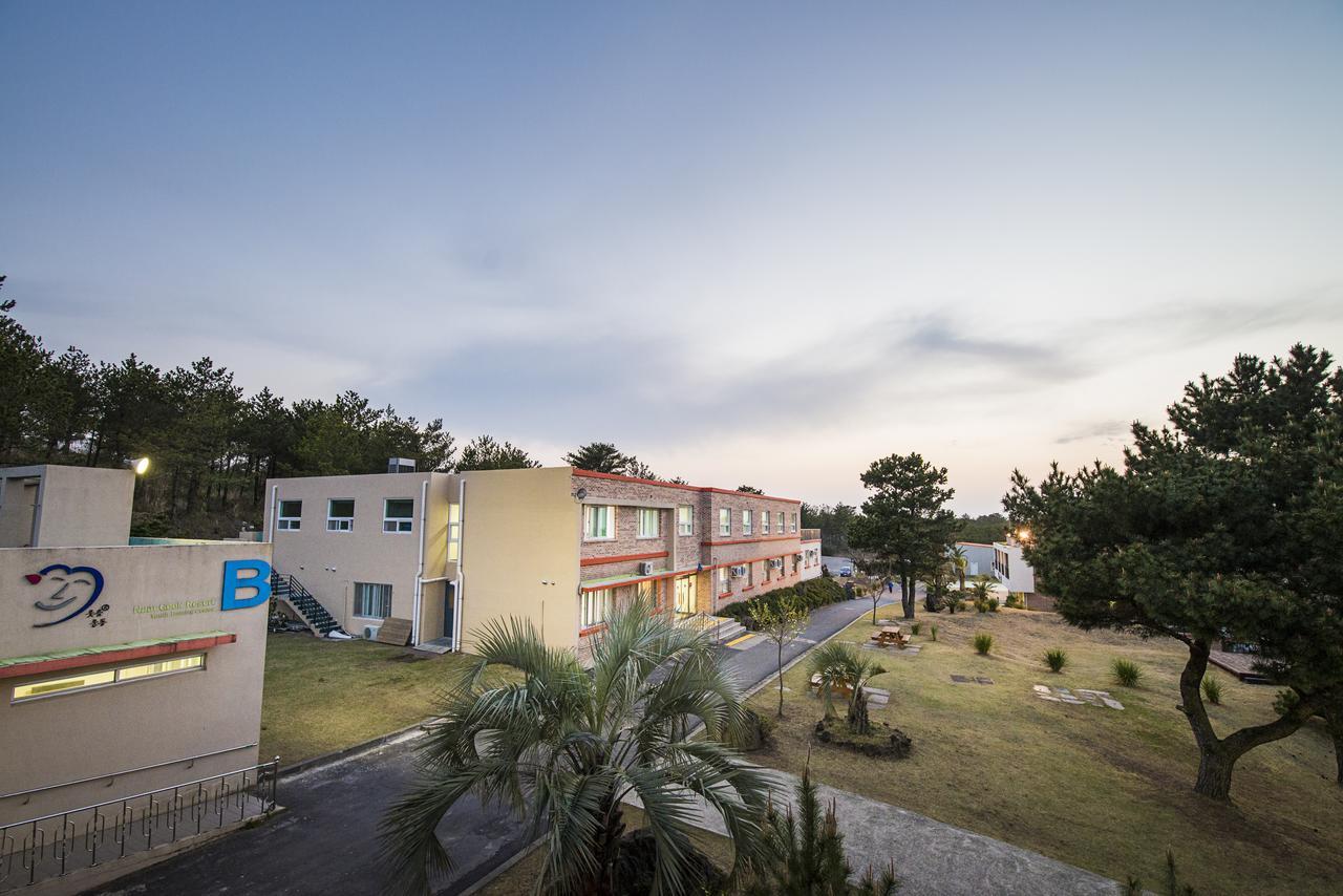 Jeju Youth Hostel エクステリア 写真