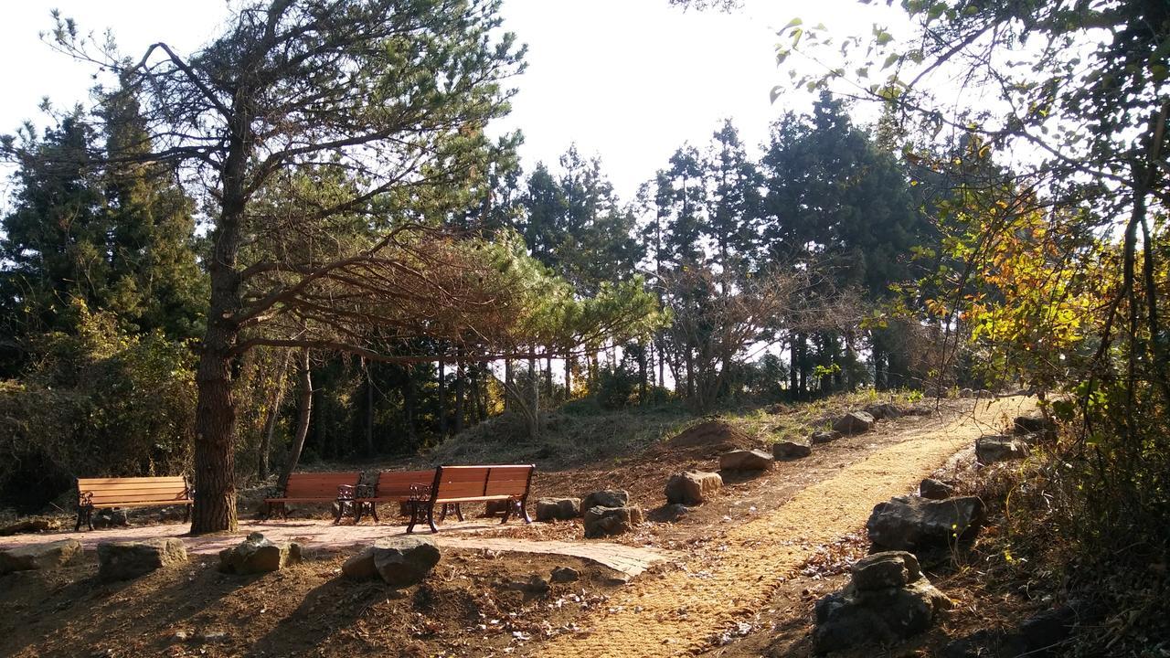 Jeju Youth Hostel エクステリア 写真