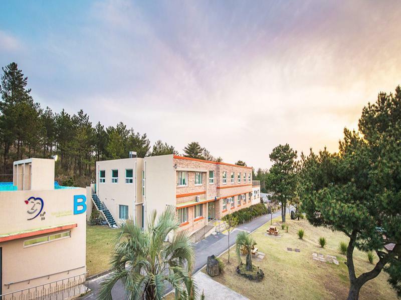Jeju Youth Hostel エクステリア 写真